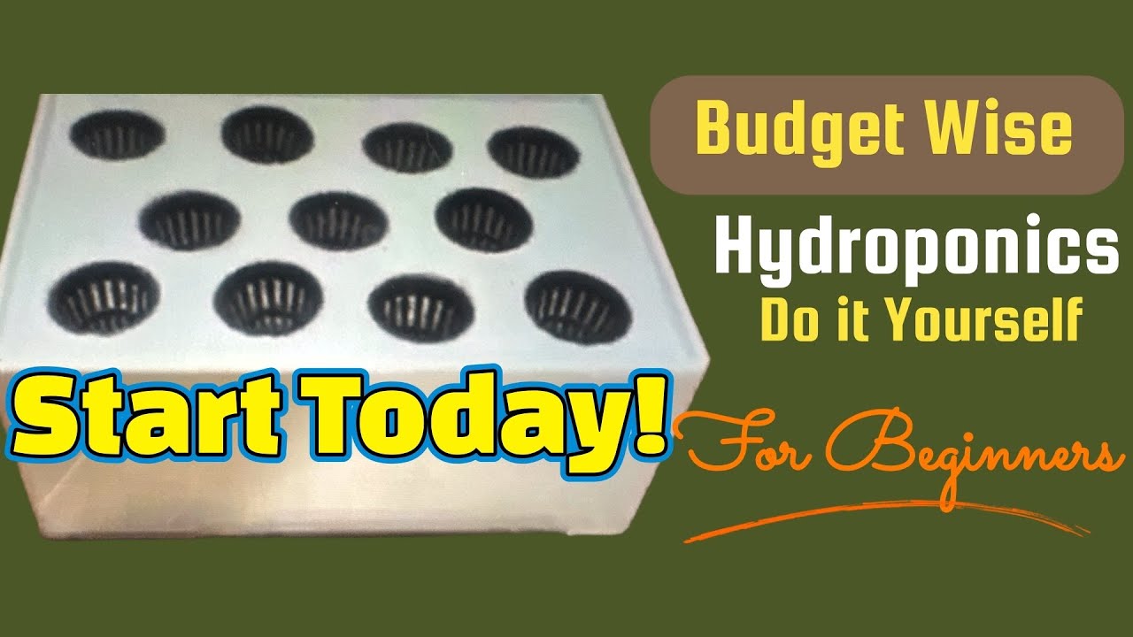How to Make Hydroponic Vegetable Garden at Home - Easy for Beginners ...