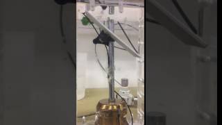 IMG 6531
