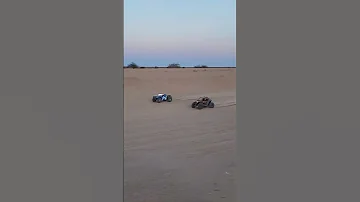 Losi Baja Rey Vs Losi Rzr 