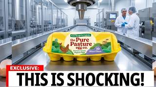 8 UK EGG Brands to Avoid ) And 4 That Are SAFE)