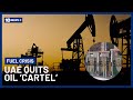 UAE Oil ‘Cartel’ Exit Set To Shake Up Global Fuel Prices | 10 News+
