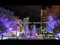 【4K横浜・みなとみらい】2024ヨコハマミライトイルミネーション／Yokohama mi light illumination