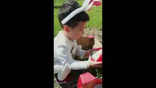 Little Bunny Liam in the EASTER EGG HUNT