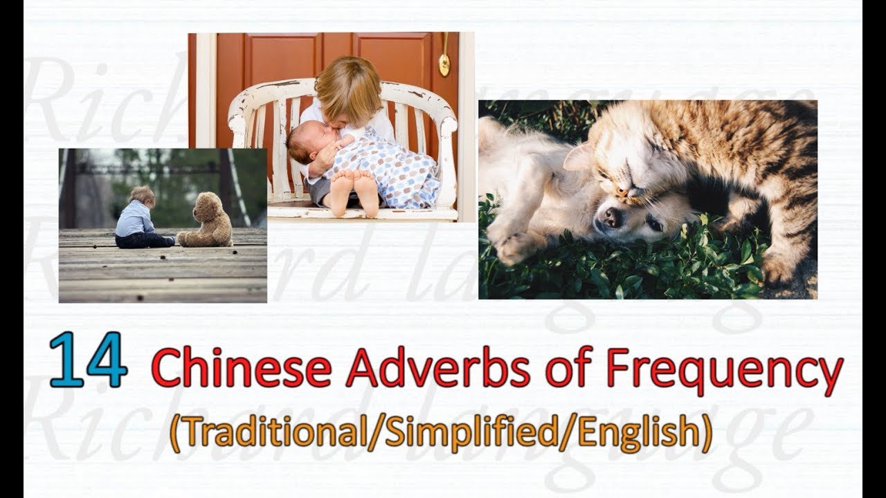 14 Adverbs of Frequency in Chinese | 中文的频率副词 (总是、从未、有时、常常...) - YouTube