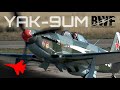 YAK-9UM ✈️ This is What Flying Inside a Soviet Warbird Looks Like!