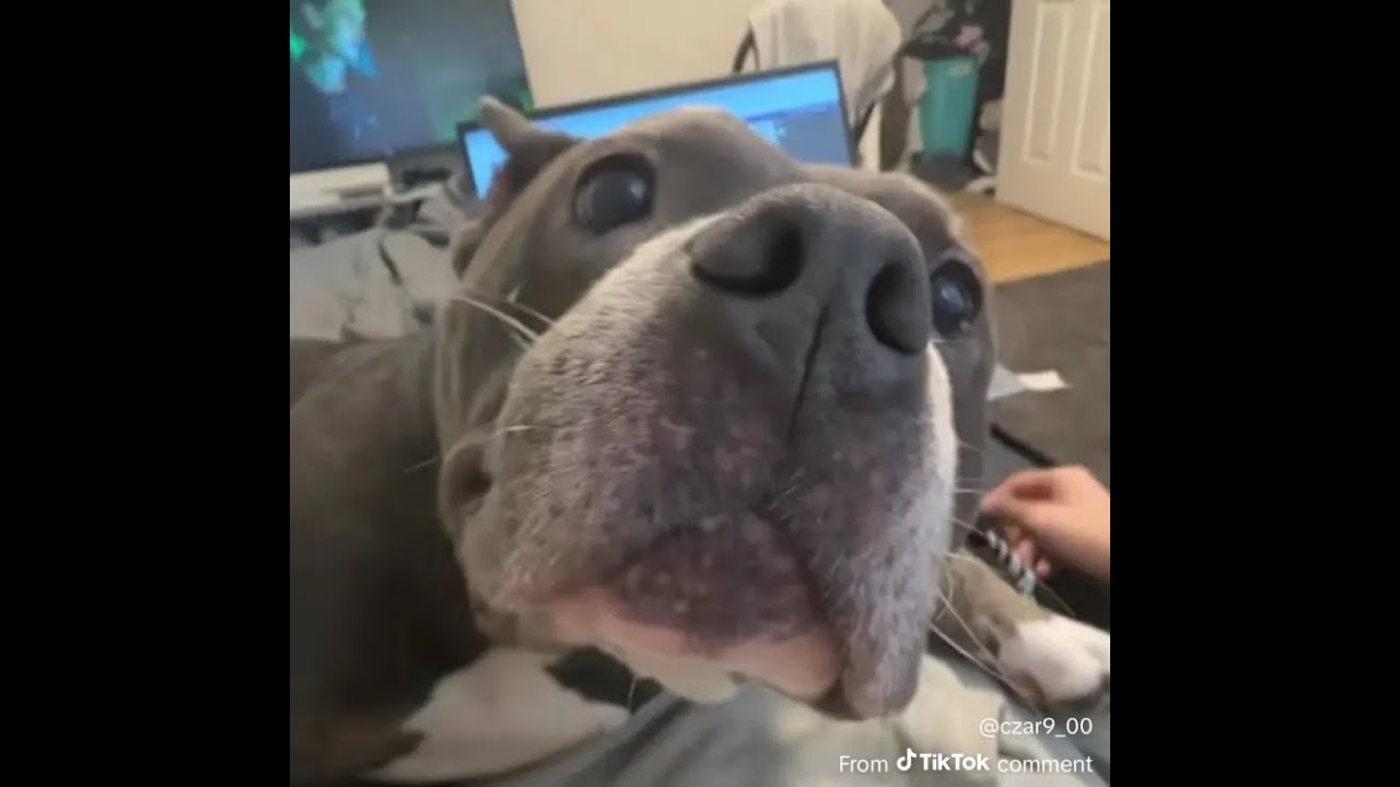 Honestly I was yapping while playing the game