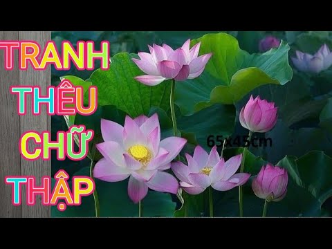 Video review Tranh thêu chữ thập hoa sen tím hồng 90805... - youtube
