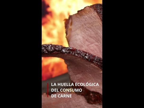 La huella ecológica del consumo de carne #shorts