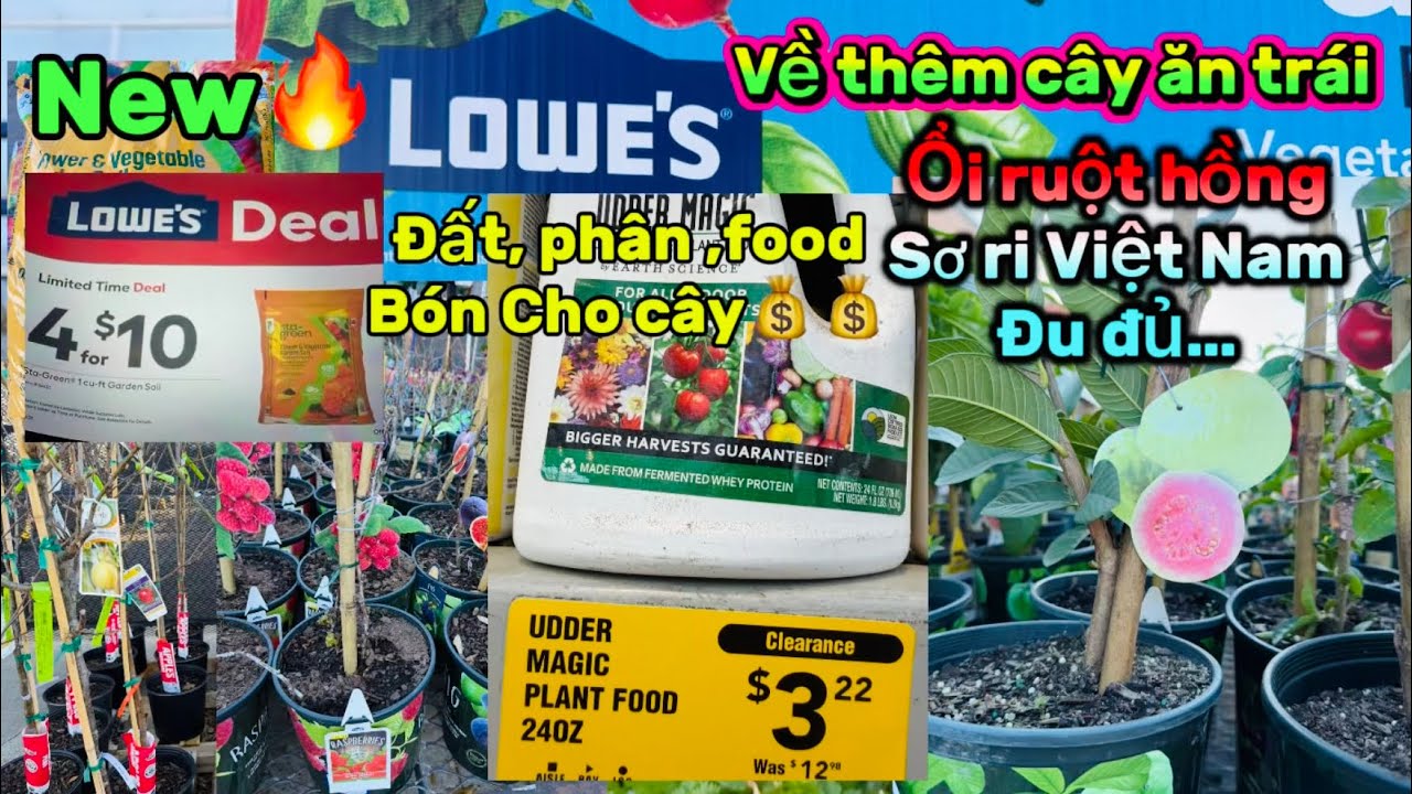 #280🇺🇸🔥Lowe’s về thêm cây ăn trái🍒🍑 giảm giá : đất, phân, Food cho cây…💰👍