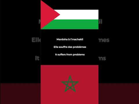 Raja Casablanca pour la Palestine (Traduction française/English lyrics)