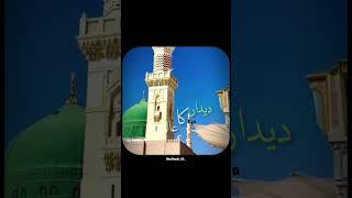 Didar ka Alam kya hoga ...#islamicshorts #iloveyou #islamicvideo #didarul_islam#1million#madina#1k