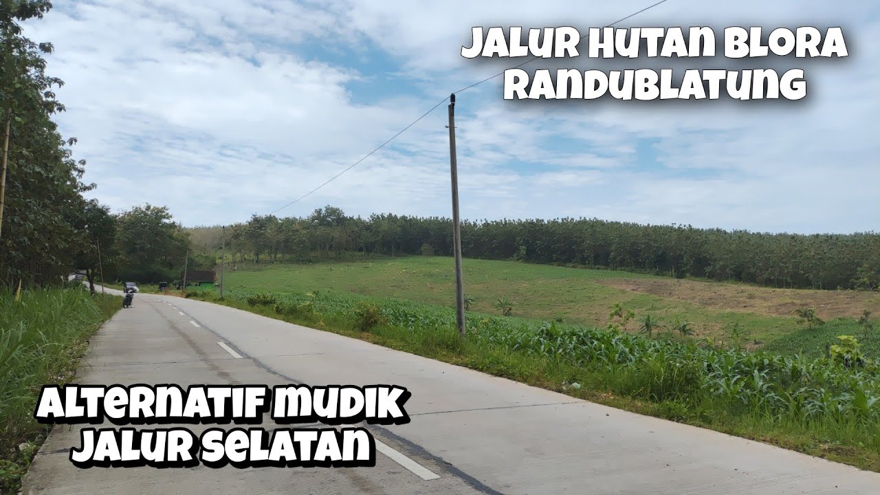 Jalur Blora Randublatung Menerobos Hutan Jati Alternatif Mudik Tembus Ngawi Part 01