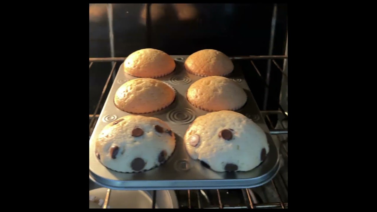 Day9/30Chocochip Muffin 