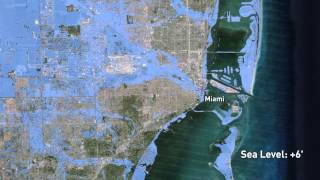 Sea rise in florida is destroying the supply of drinking water.
archbishop wenski miami shares catholic perspective.