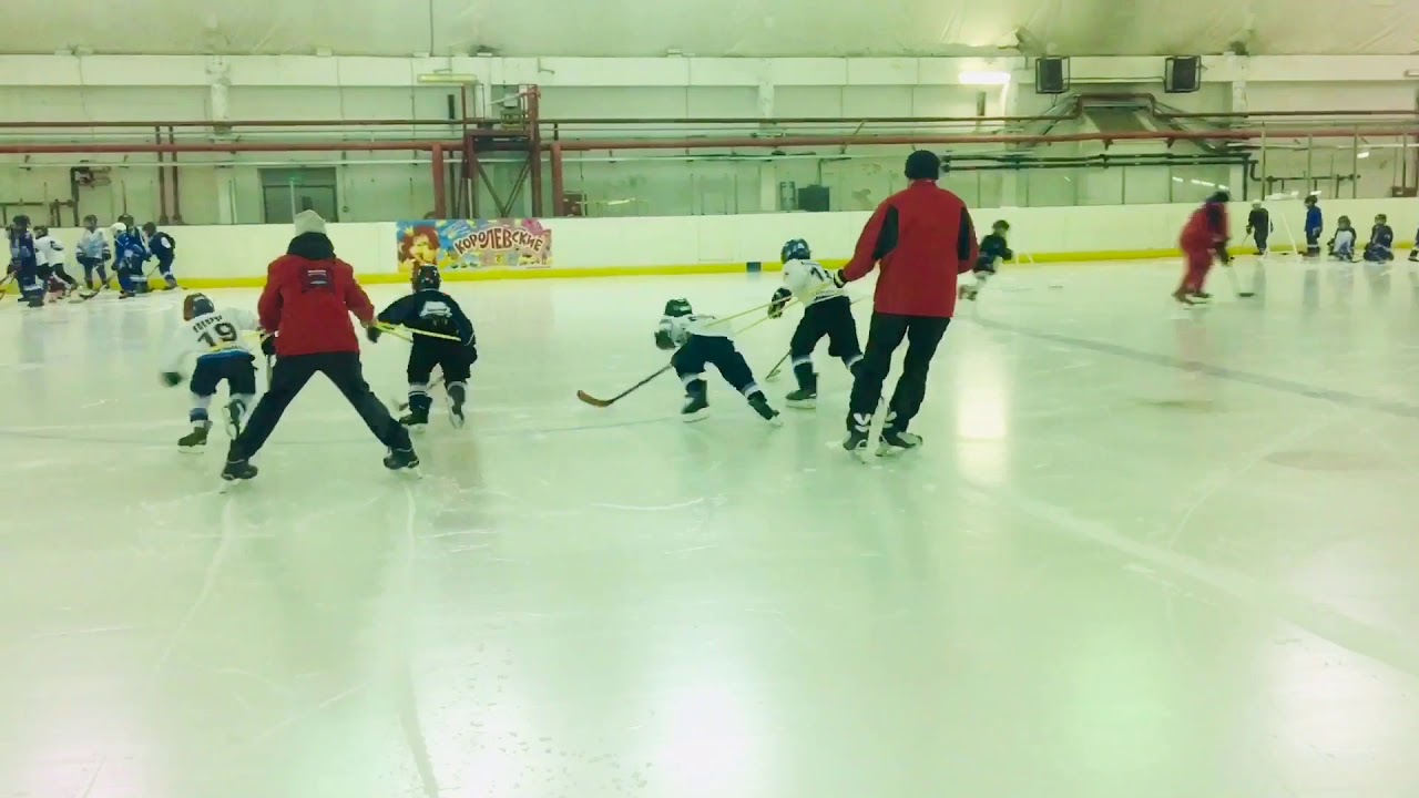 �������� ��������� ������������: ����.