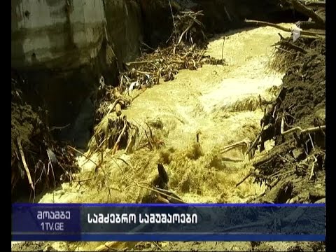 წყალდიდობისას 78 ცხოველი დაიღუპა, ოთხი დათვის ლეში დღეს სვანიძის ქუჩაზე აღმოაჩინეს