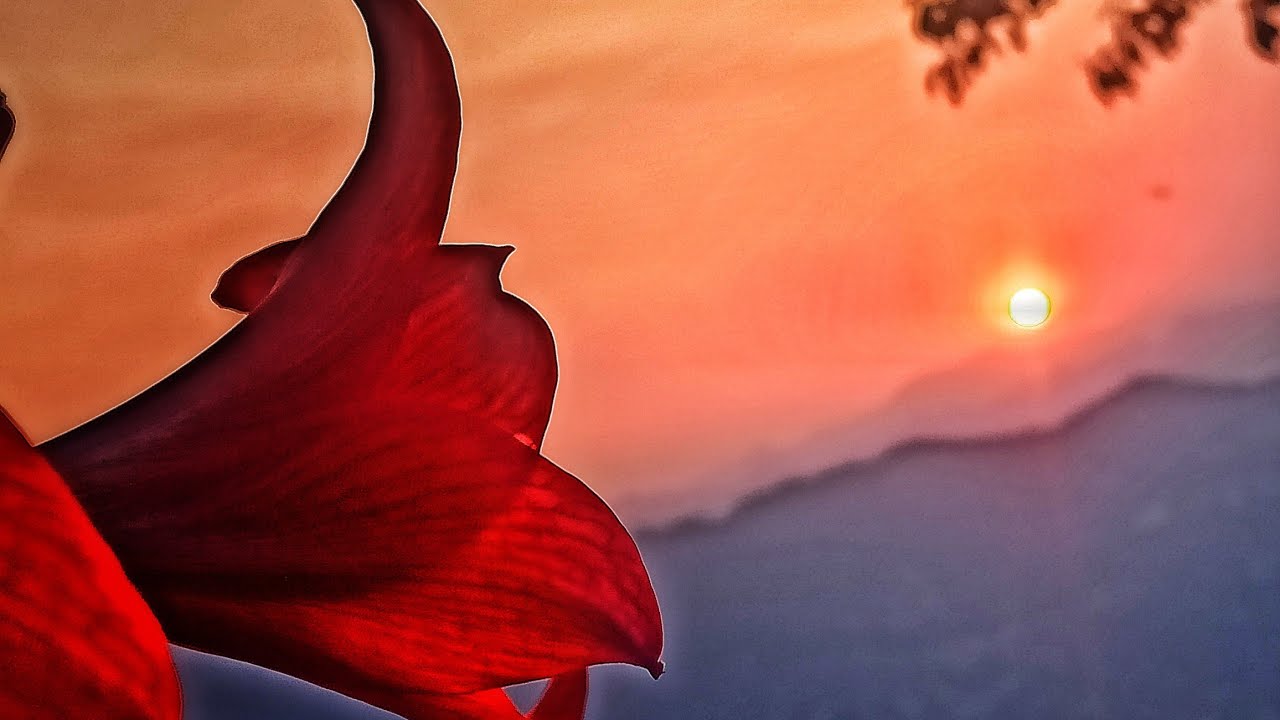 The most amazing sunset photography - Redmi note 8 pro