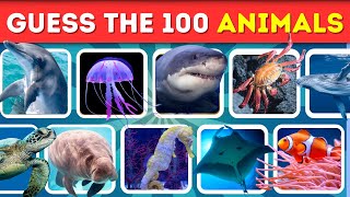 GUESS 100 SEA ANIMALS IN 3 SECONDS! 🌊🦭🦈 | Animal quiz