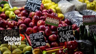 Weekly grocery bill has increased by over $100 say 1 in 5 Canadians: poll