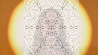 Celestial 9 Transmissions #3 The fast Track to Awakening