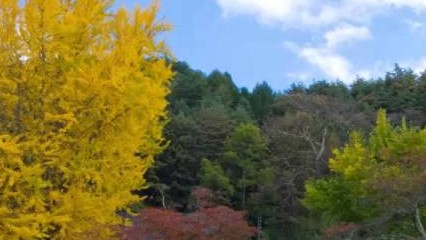 ムソルグスキー：組曲《展覧会の絵》から 「プロムナード」