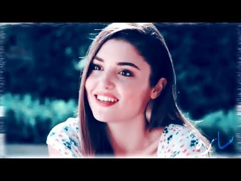 في ليالي عذابي معاك تامر عاشور سيلين وعلى