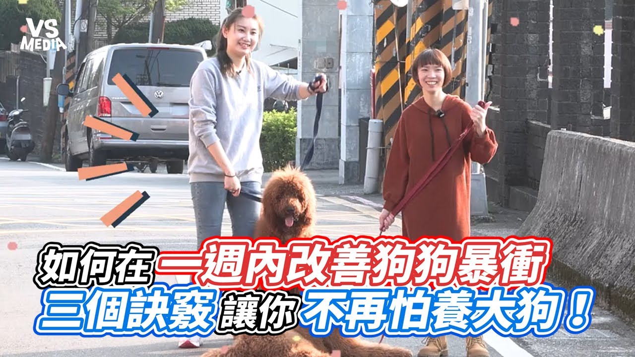 如何在一週內改善狗狗暴衝  三個訣竅讓你不再怕養大狗！｜VS MEDIAｘ@bonjumpboneo