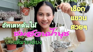 #สวนคนกรุง #ชมสวนป้านุช ||ป้านุชEp.36