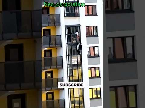 Жители дома в Петербурге не дожидаясь МЧС и полиции спасли собаку с балкона Она просидела там 3 дня