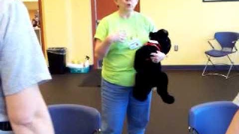 lesson in shaping behavior