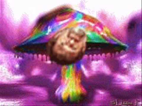 terence mckenna - cannabis consumption camera iphone 8 plus apk