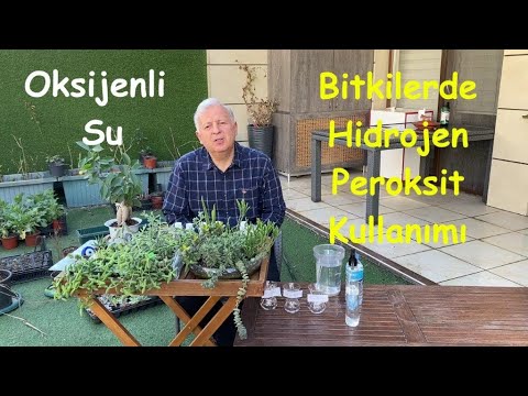 Video: Bitkiler İçin Hidrojen Peroksit - Bahçede Hidrojen Peroksit Nasıl Kullanılır