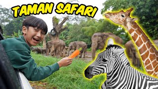 Download lagu Ziyan Liburan Ke Taman Safari Bogor Safari Journey... mp3