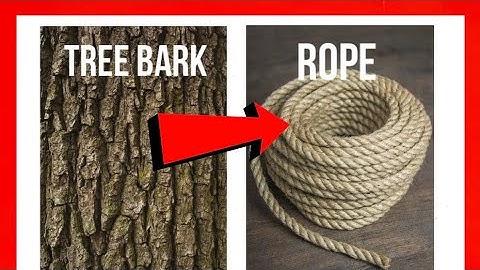 How to make rope from tree bark