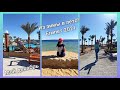 Горящий тур в Египет! Собираю вещи! Заезд в Queen Sharm Resort 4*