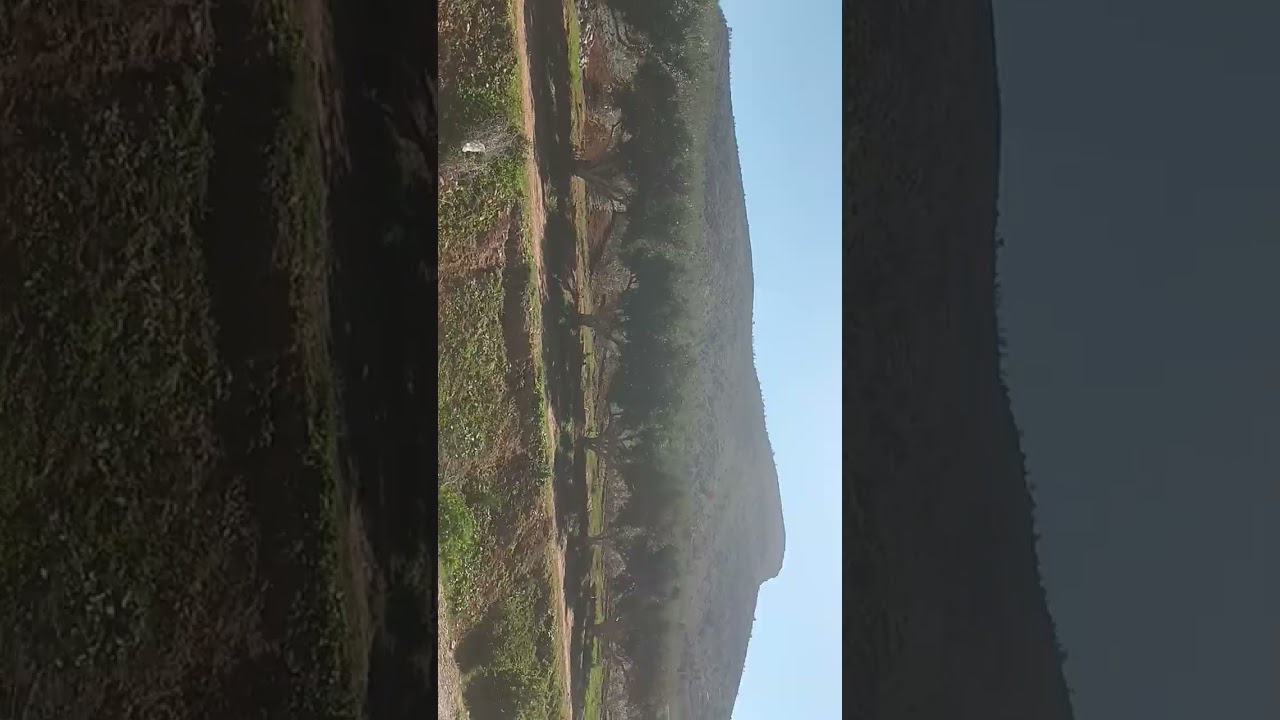 18 فبراير 2026