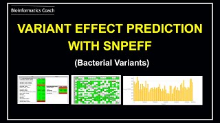 Variant Annotation and  effect prediction with snpeff