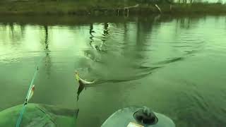 Sokvideo1415449742037