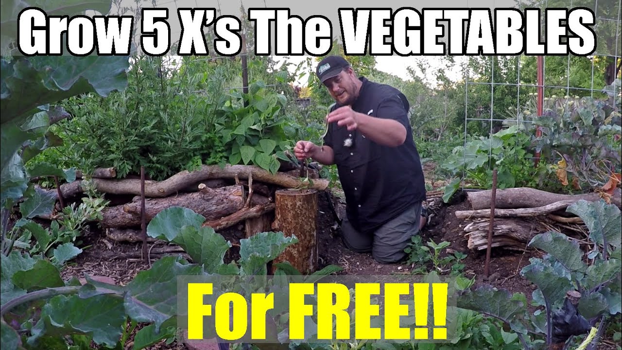 How To Grow 5 X's The Vegetables Without Any Added Cost - YouTube