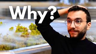 Winemaker Reacts To Viral Wine Videos