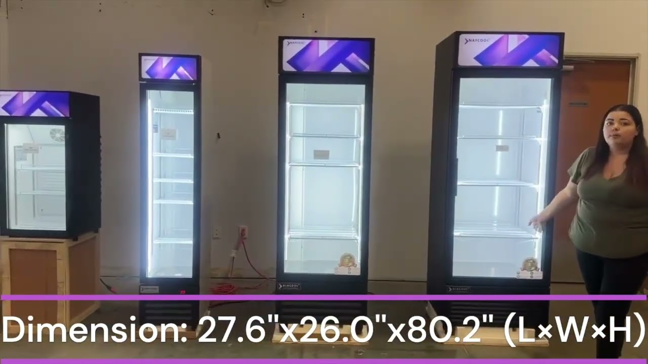 Florsa Display Chiller Business Fridge 330l - Single Door, Adjustable-