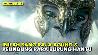 PERTARUNGAN SENGIT ANTAR BURUNG HANTU || Alur Cerita Film LEGEND OF THE GUARDIANS (2010)