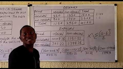 CONTINGENCY TABLE AND CHI SQUARE