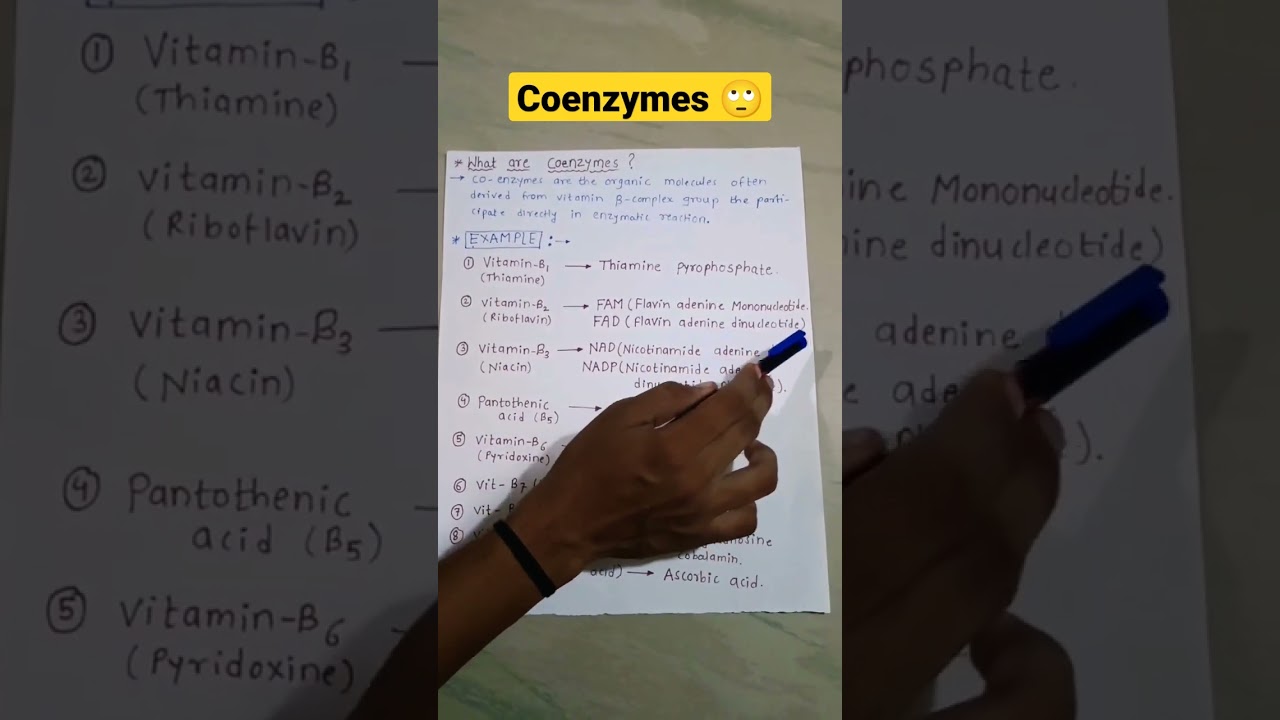 ✅Coenzymes and their Examples ✅ 