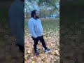 #reels  #autumnleaves #berlin #shaonandmimusstorys