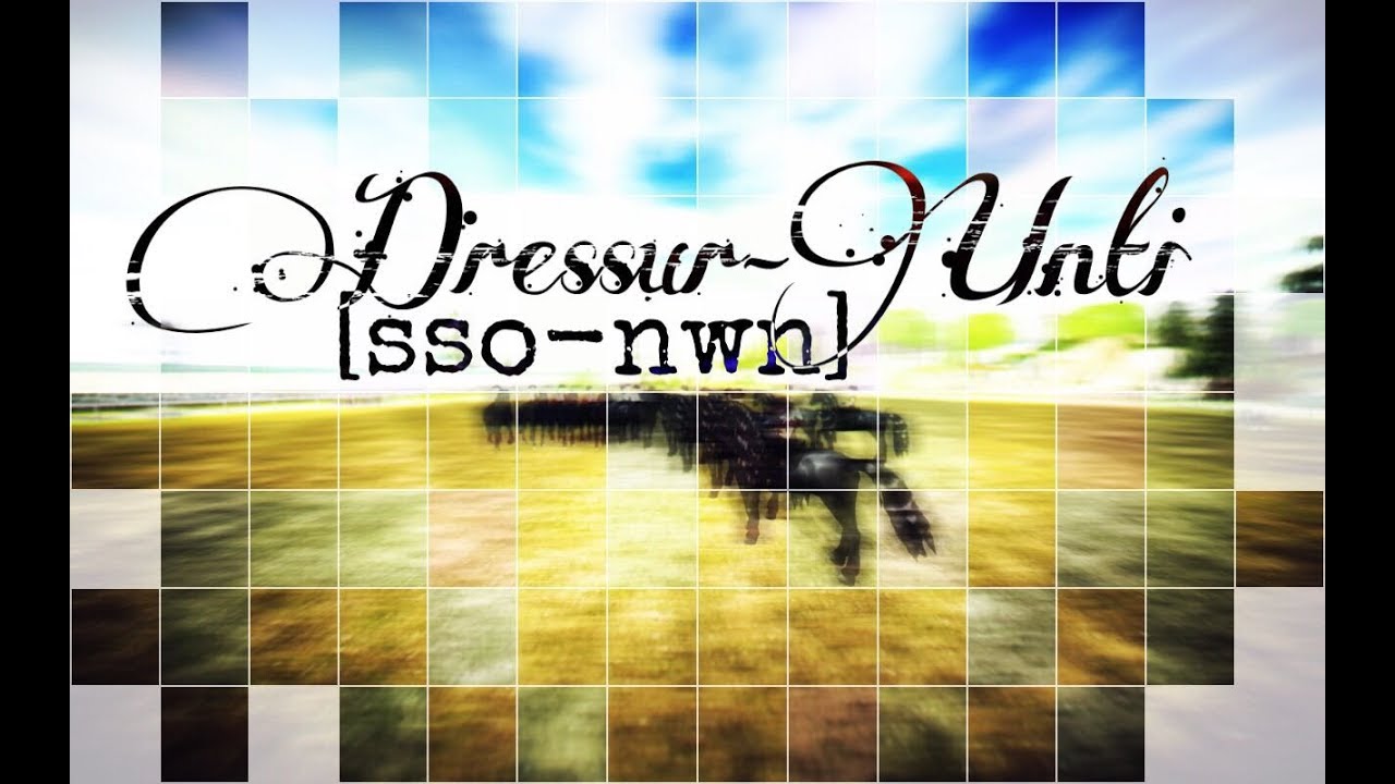 Ԁяєṡṡȗя ȗṅṭı III [sso-nwn] MEMORIES