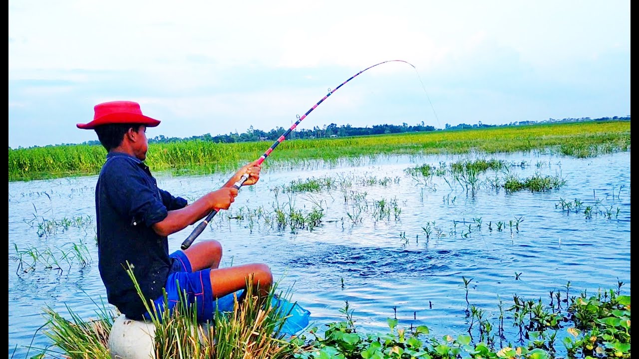 Hook Fishing - Traditional Hook Fishing - MR Fishing Life (Part-42)