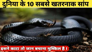 दुनिया के 10 सबसे खतरनाक सांप || top 10 most dangerous snakes in the world.