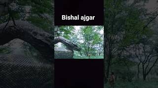 Disawar Result Satta Matka