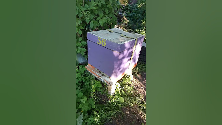 Перевоз вуликів: вилетіли бджоли! #bees #apiary